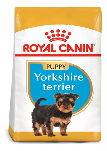 YORKSHIRE PUPPY 1.13 KG