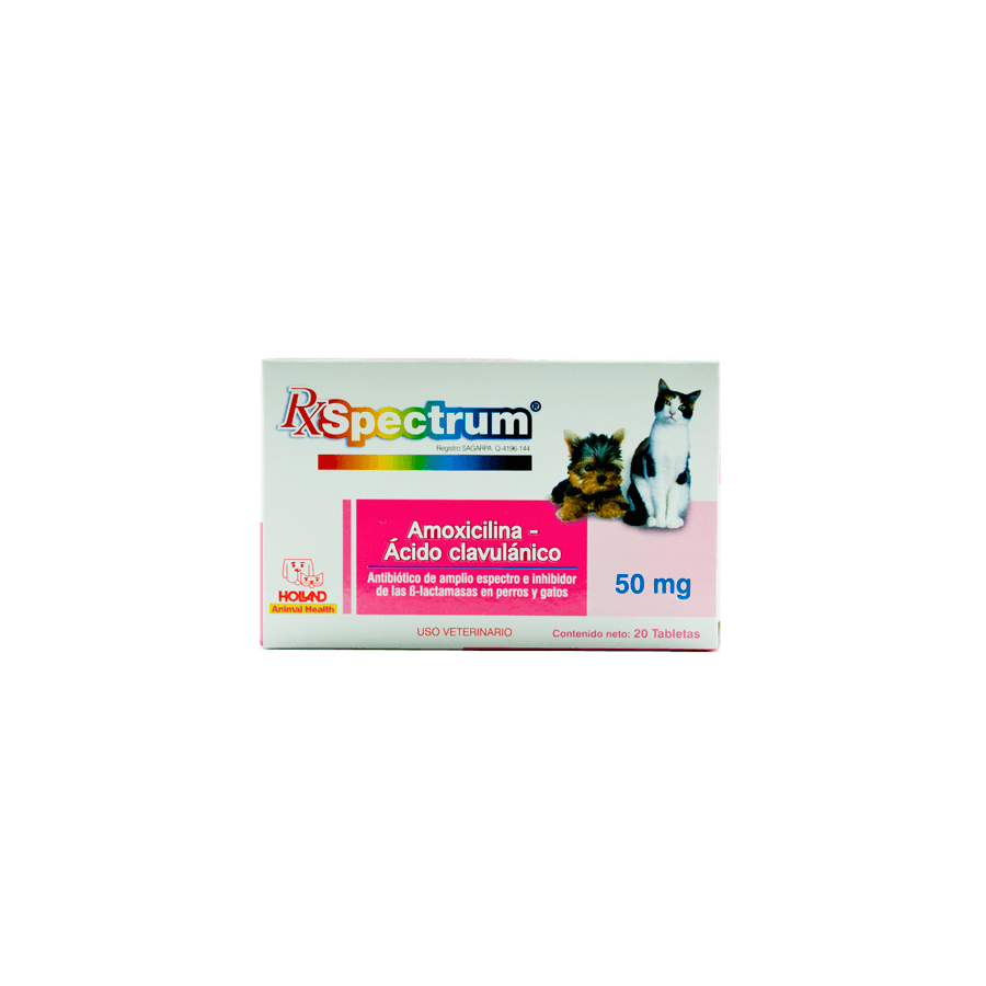 AMOXICILINA CON ACIDO CLAVULANICO 50MG TABLETAS