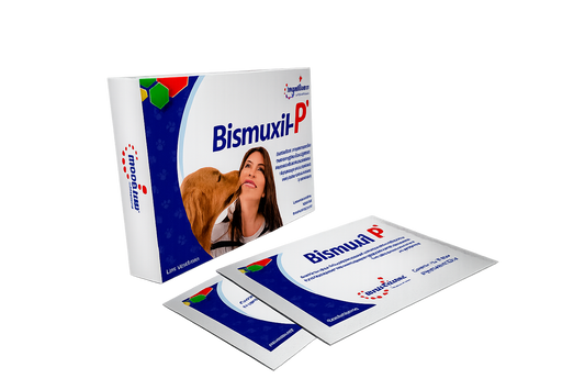 BISMUXIL-P CAJA CON 3 SOBRES