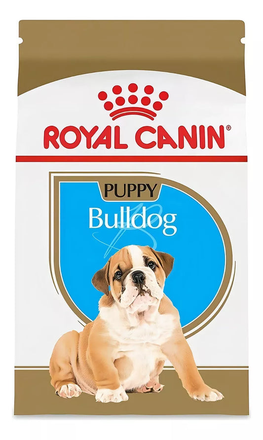 BULLDOG PUPPY 13.6 KG