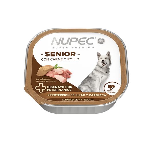 CLUSTER NUPEC SENIOR