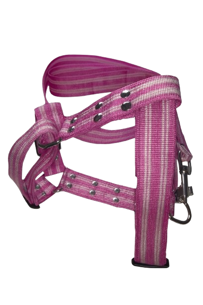 JGO DE PECHERA Y CORREA LISO 20MM