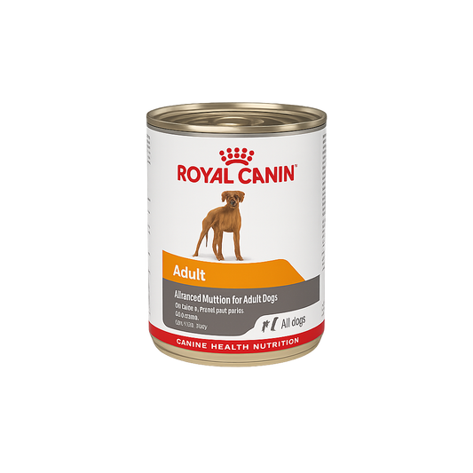LATA ADULT ROYAL CANIN
