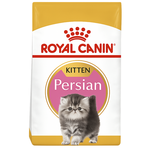 PERSIAN KITTEN 1.3KG