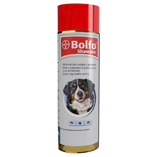 SHAMPOO BOLFO