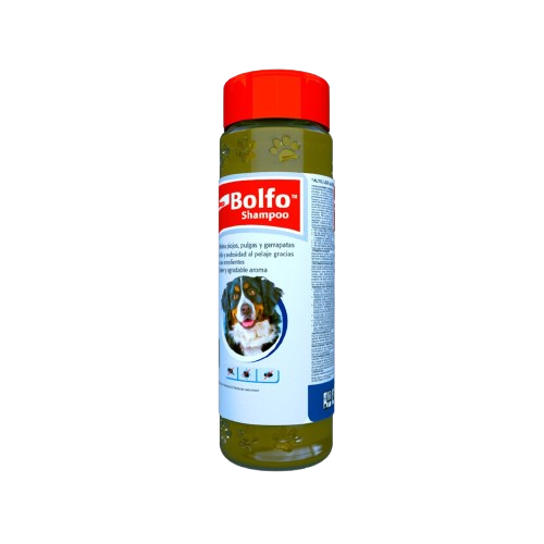 SHAMPOO BOLFO