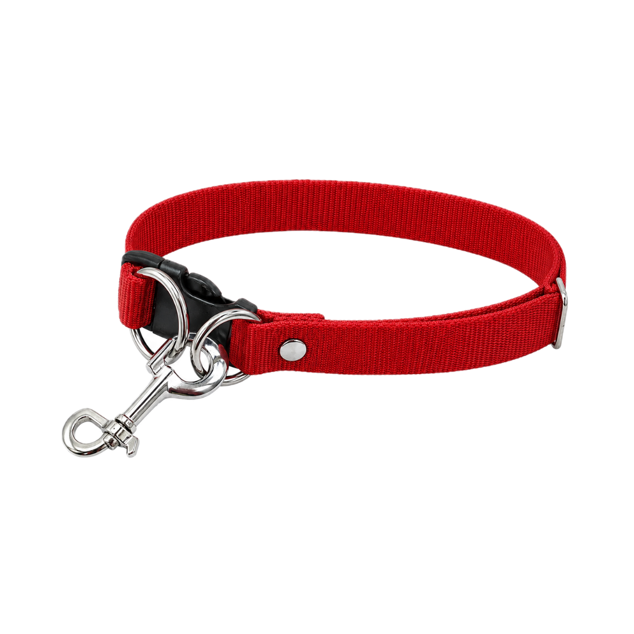 Collar Nico 2 Argollas Grande ALO para Perro
