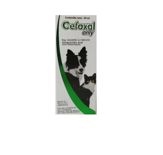 CEFAXAL ONLY 30ML