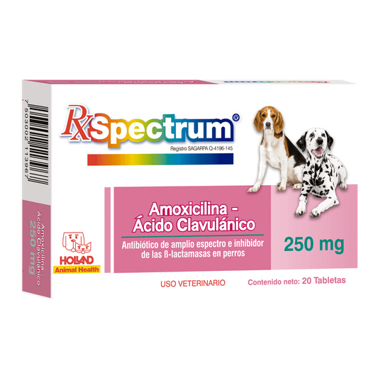 AMOXICILINA CON ACIDO CLAVULANICO 250MG TABLETAS
