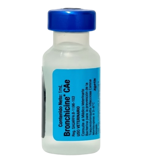 BORDETELLA BRONCHICINE VACUNA ZOETIS