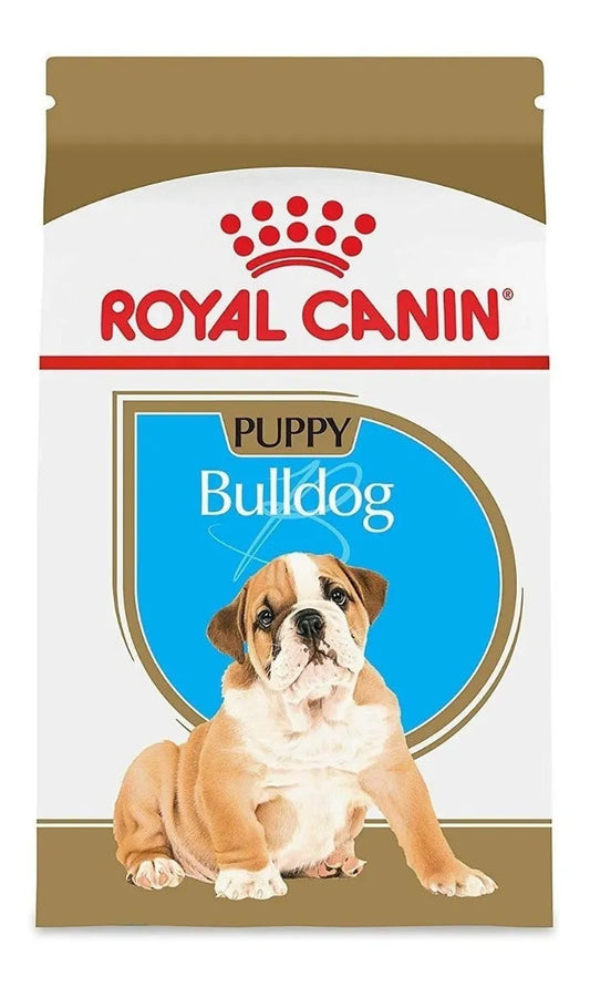 BULLDOG PUPPY 2.72KG