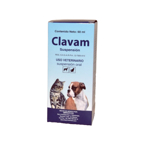 CLAVAM 60ML