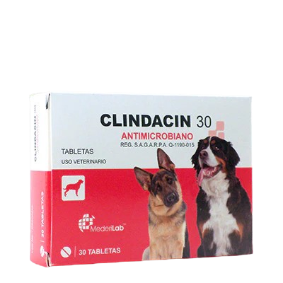 CLINDACIN 30 CON 30 TABLETAS