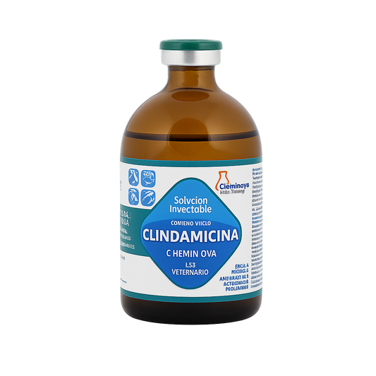 CLINDAMICINA 100 ML