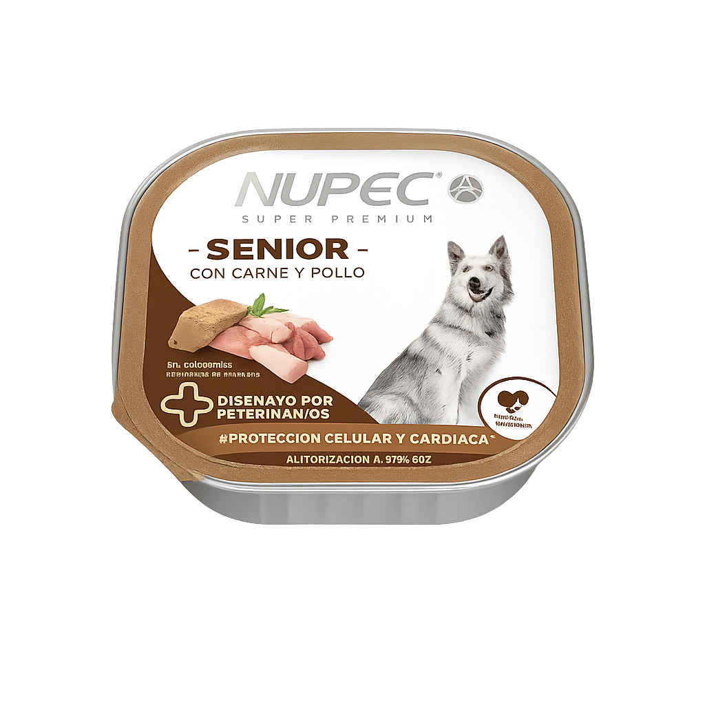 CLUSTER NUPEC SENIOR