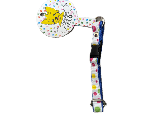 COLLAR LISTON CHICO COLORES