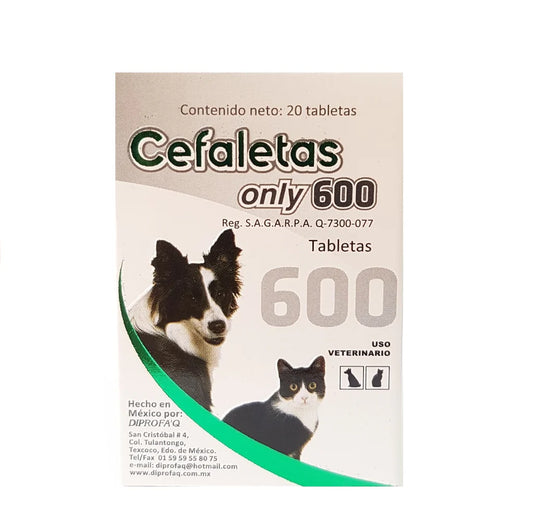 CEFALETAS DE 600 ONLY