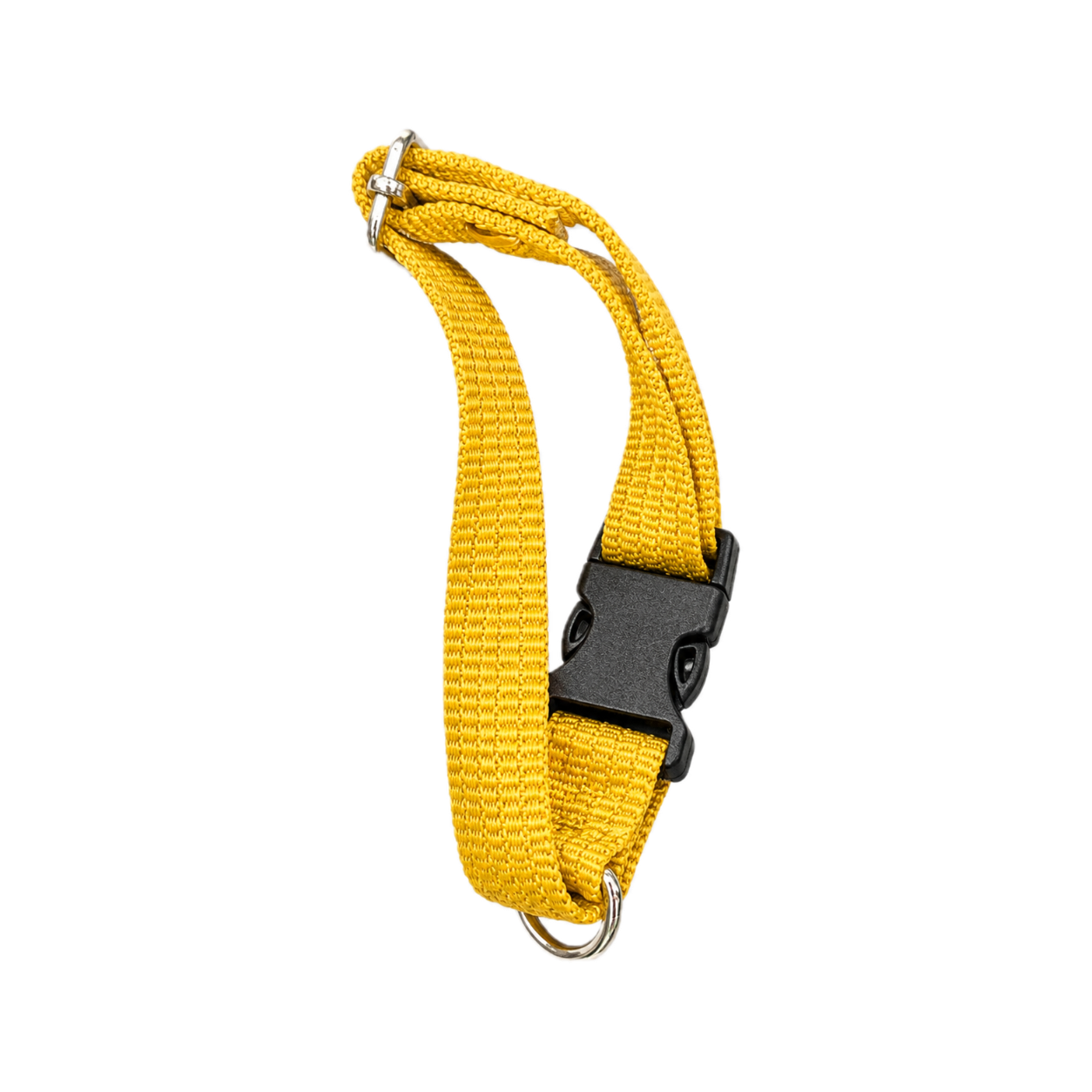 Collar Sencillo Mediano ALO para Perro