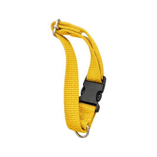 Collar Sencillo Mediano ALO para Perro