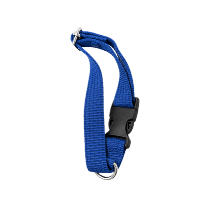 Collar Sencillo Mediano ALO para Perro