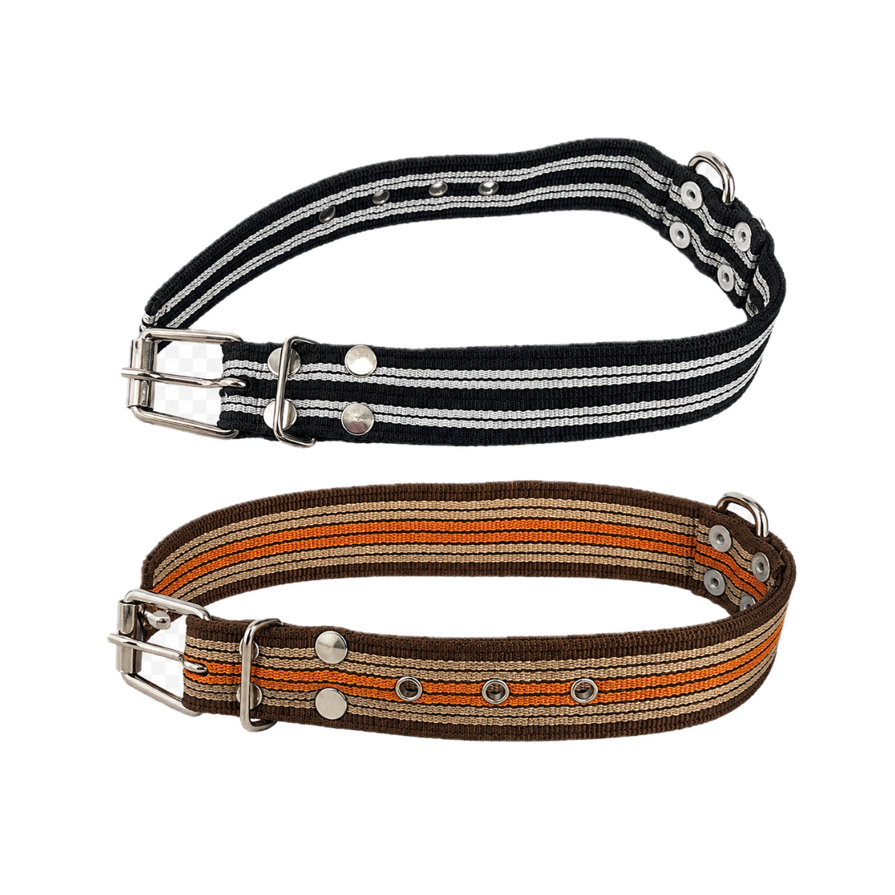 Collar Rayado Talla G con Hebilla ALO para Perro