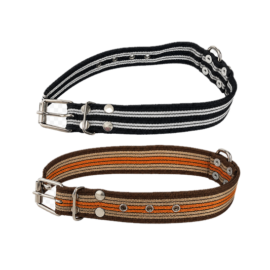 Collar Rayado Talla G con Hebilla ALO para Perro