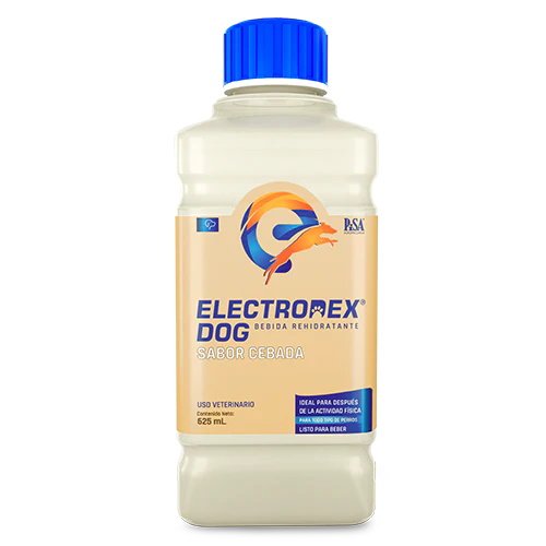 ELECTRODEX SABOR CEBADA