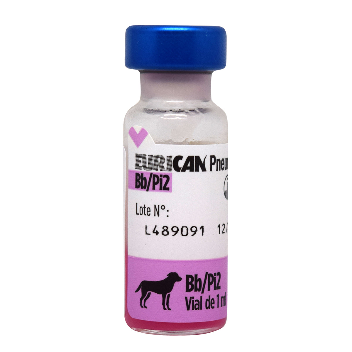 VACUNA BORDETELLA EURICAN PNEUMO APLICADA