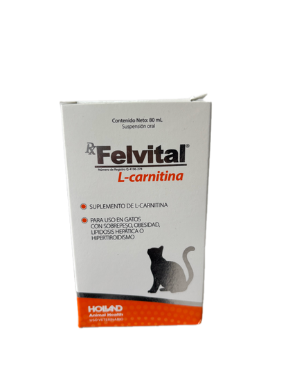Felvital L-Carnitina 80 ml