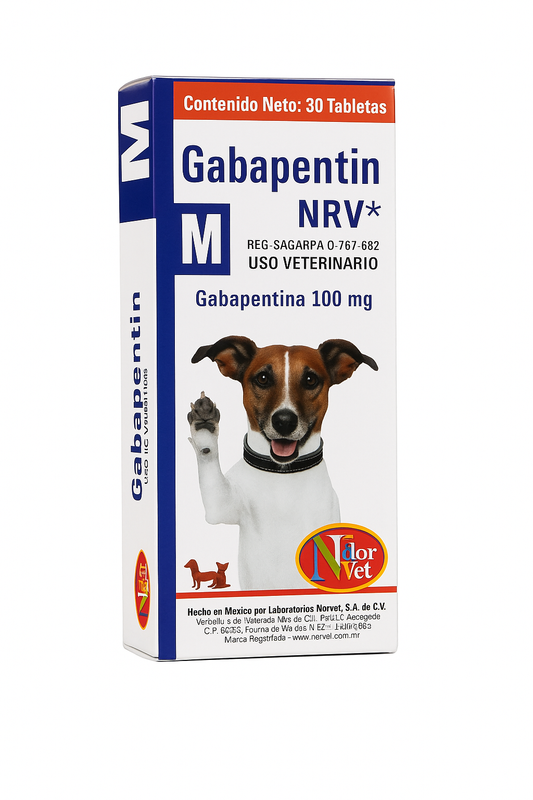 GABAPENTIN M NRV 30 TABS 100MG