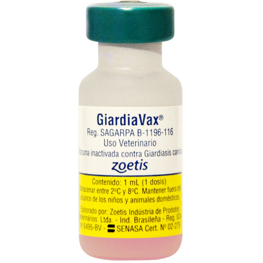 GIARDIA VAX 1 DS