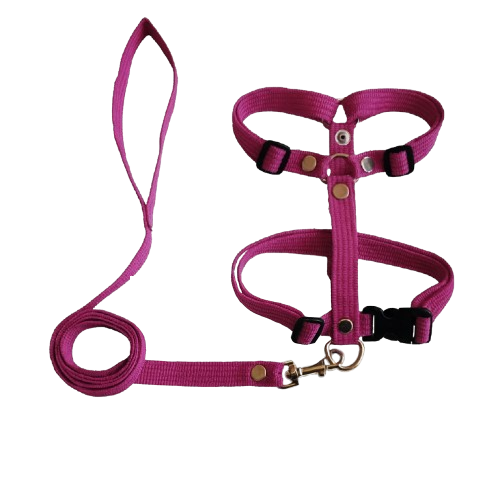 JGO DE PECHERA Y CORREA LISO JUMBO