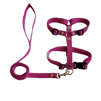 JGO DE PECHERA Y CORREA LISO JUMBO