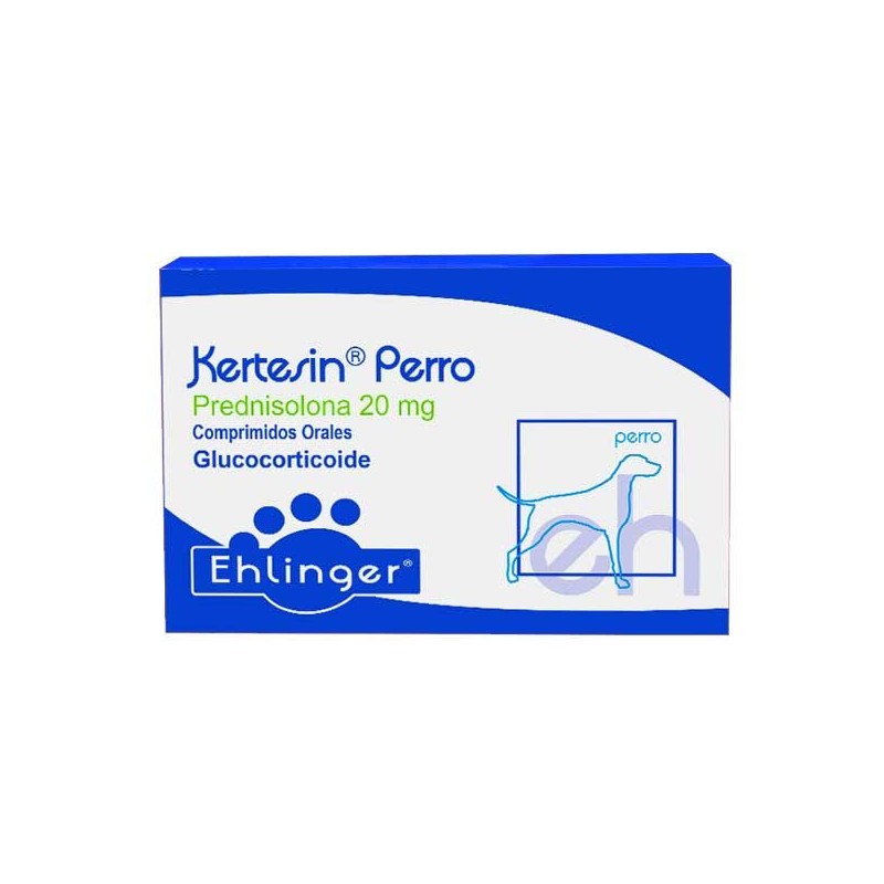 KERTESIN PERRO