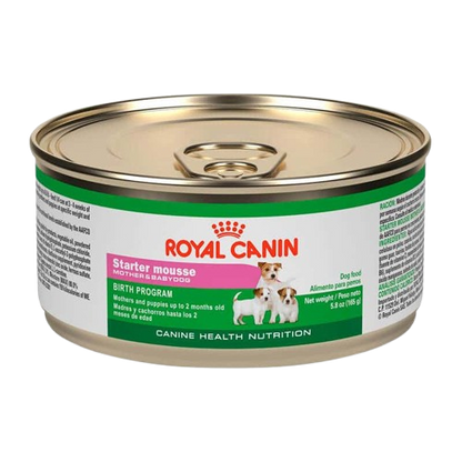 LATA STARTER MOUSE 145GR