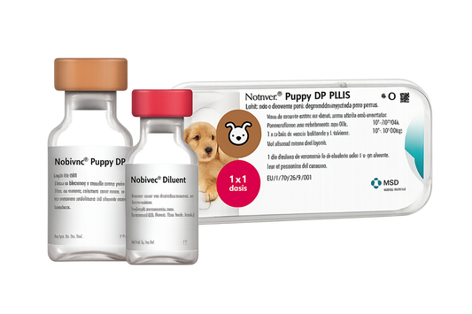 NOBIVAC PUPPY DP PLUS 1 DS