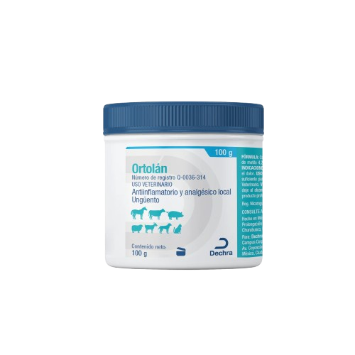 ORTOLAN POMADA 100GR