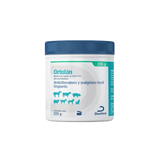 ORTOLAN POMADA 225GR