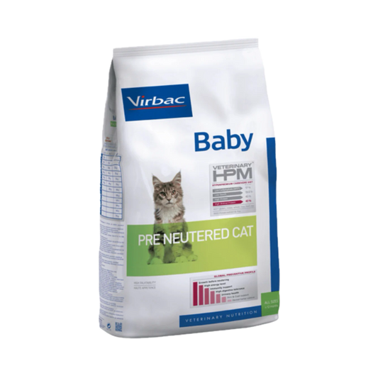 PRE NEUTERED BABY CAT 3KG