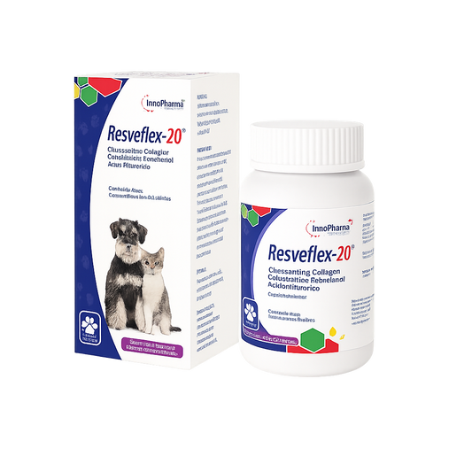 RESVEFLEX 20 C/60 TAB