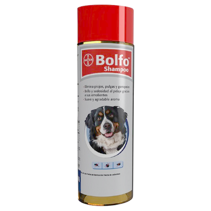 SHAMPOO BOLFO