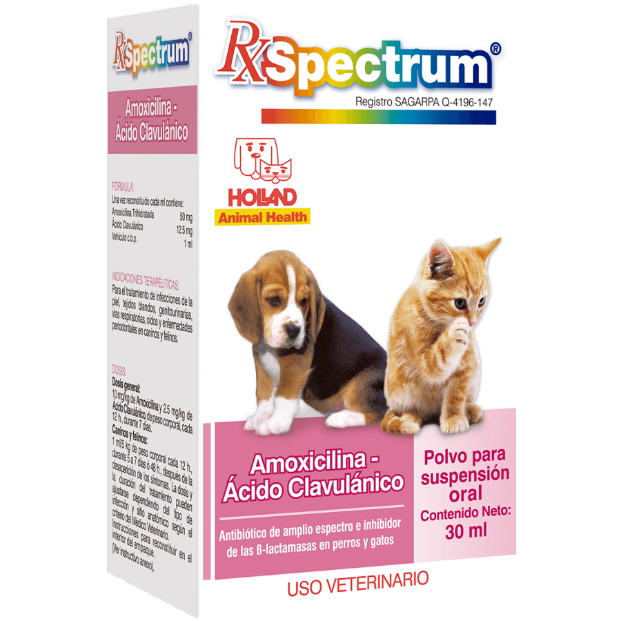 SPECTRUM AMOXICILINA CON ACIDO CLAVULANICO 30ML