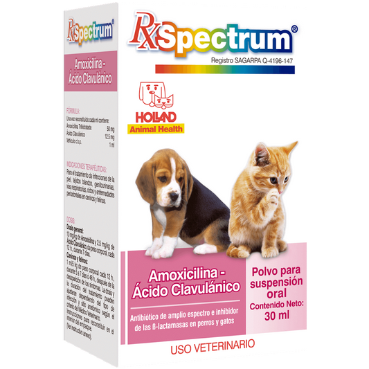 SPECTRUM AMOXICILINA CON ACIDO CLAVULANICO 30ML