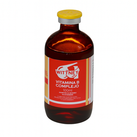VITAMINA B COMPLEJO DE 100 ML