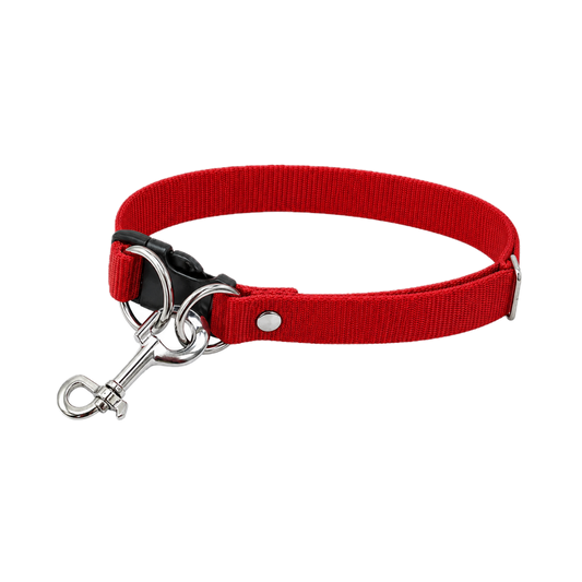 Collar Nico 2 Argollas Grande ALO para Perro