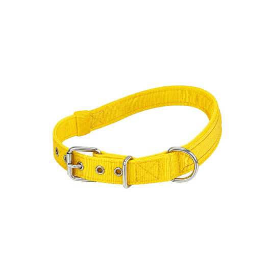 COLLAR BLACK ALO