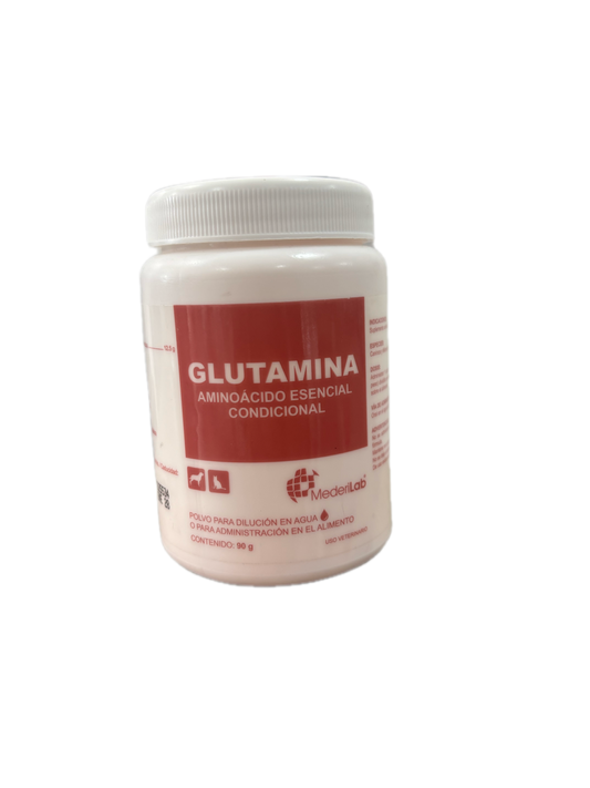 GLUTAMINA TARRO 90GR