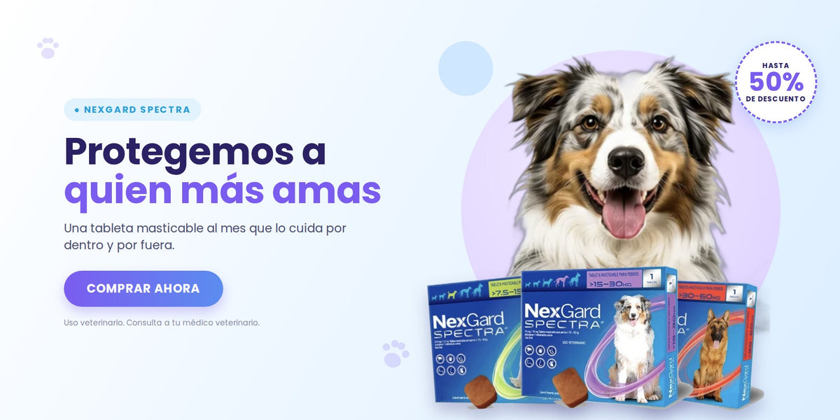 Mascotas sanas,